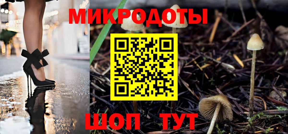 Псилоцибиновые грибы Cubensis Протвино